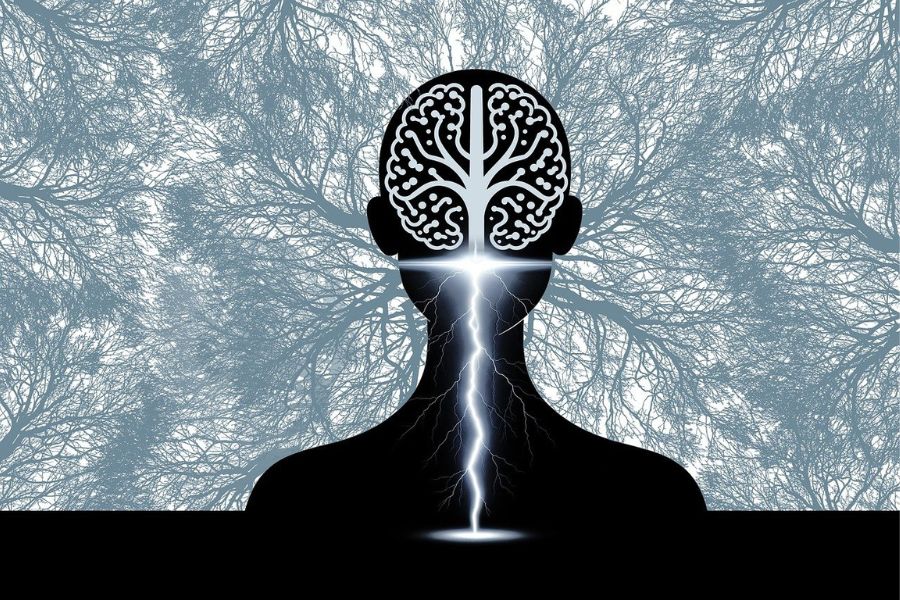 Mathematics and Intuition: Samael Aun Weor’s Cosmic Wisdom