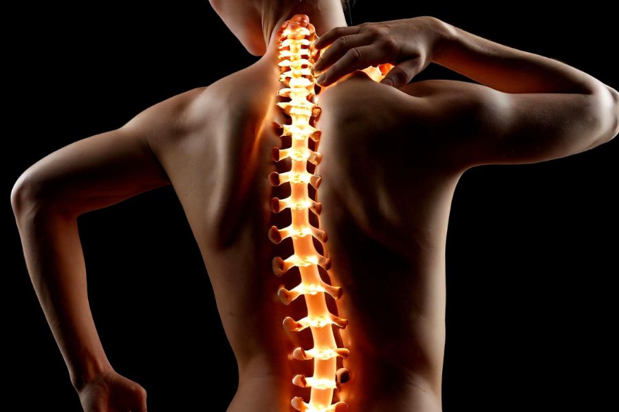 The Spiritual Wisdom of the Spine – Jean-Yves Leloup